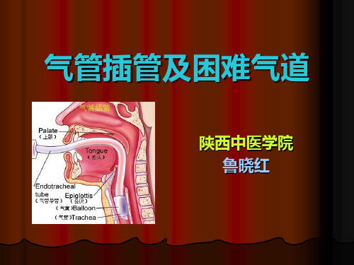 麻醉6.第七节  气管插管技术