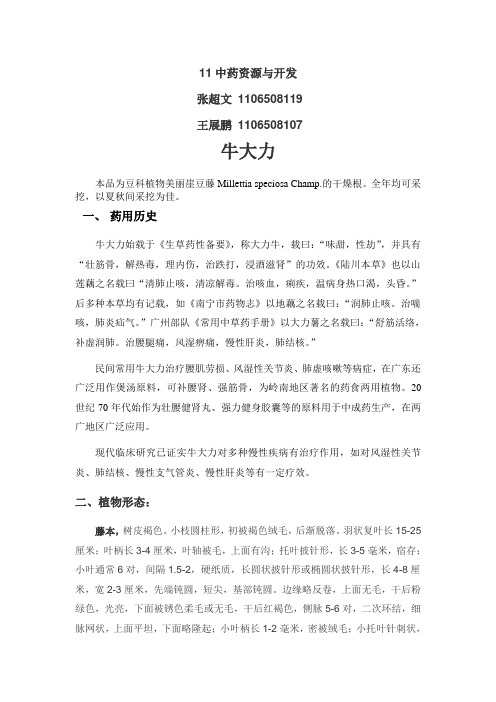 牛大力  张超文、王展鹏