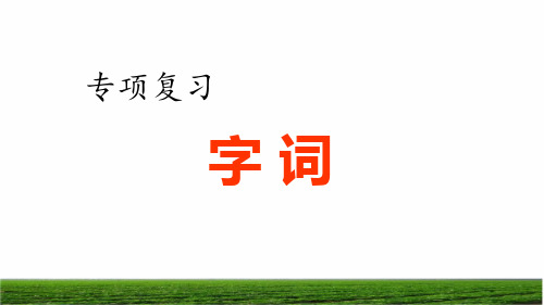 部编版六年级语文上册专项总复习《字词专项》课件