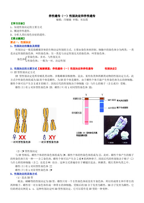 高中生物20伴性遗传(一)性别决定和伴性遗传-1知识讲解