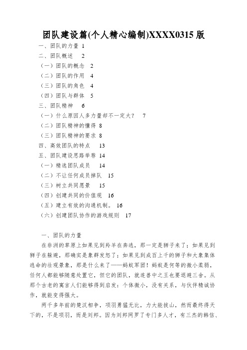 团队建设篇(个人精心编制)XXXX0315版