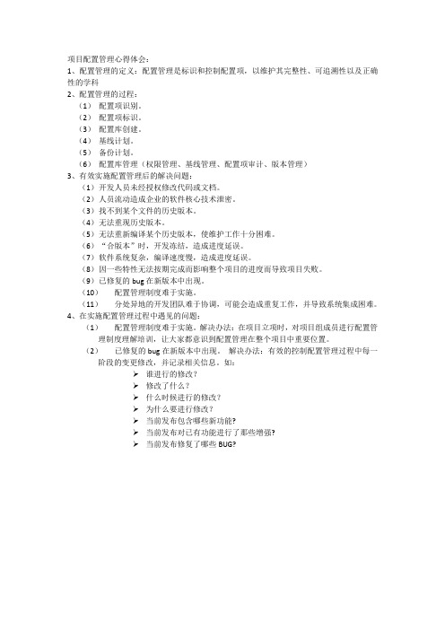 项目配置管理心得体会
