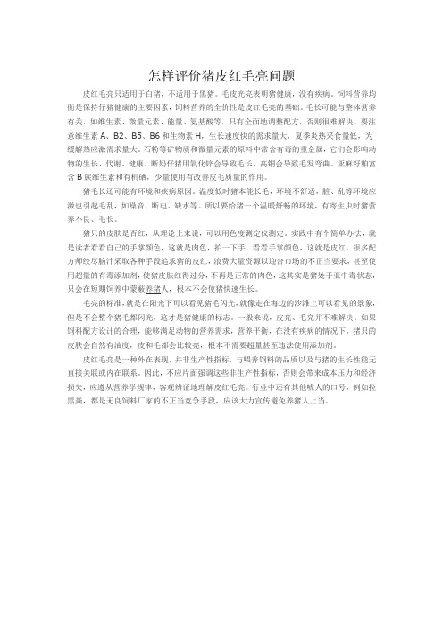 怎样评价猪皮红毛亮问题