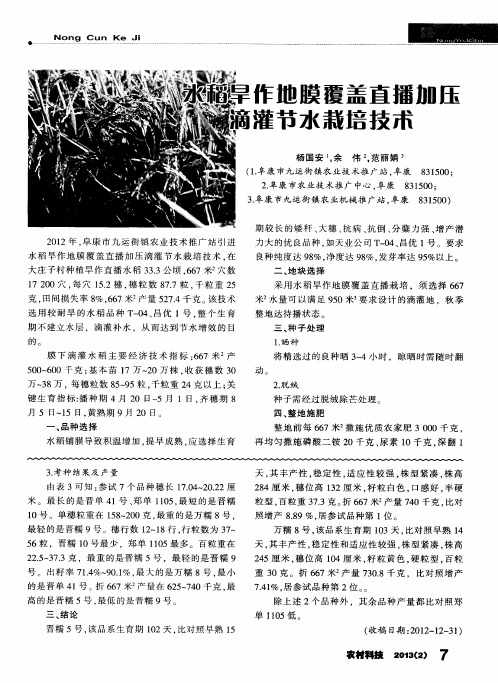水稻旱作地膜覆盖直播加压滴灌节水栽培技术
