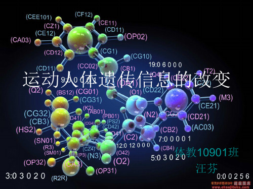遗传信息的改变