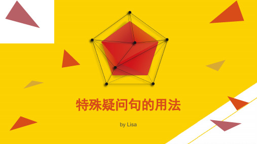 特殊疑问句的用法ppt文档