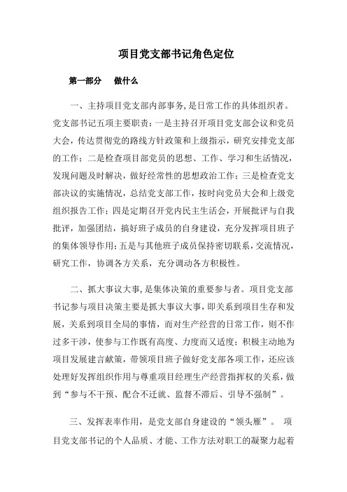 项目党支部书记定位