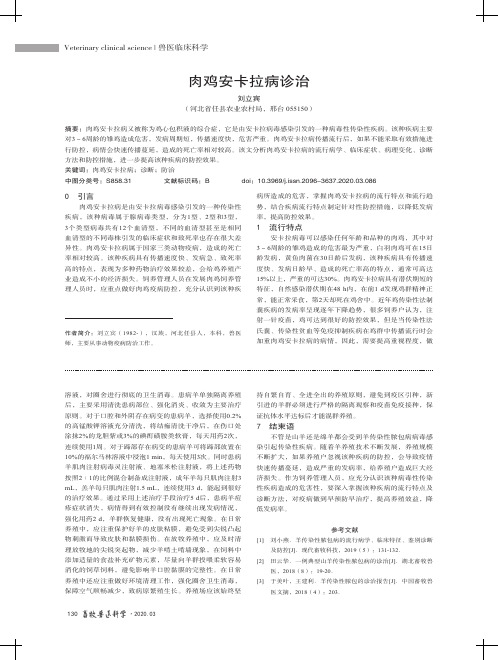 肉鸡安卡拉病诊治