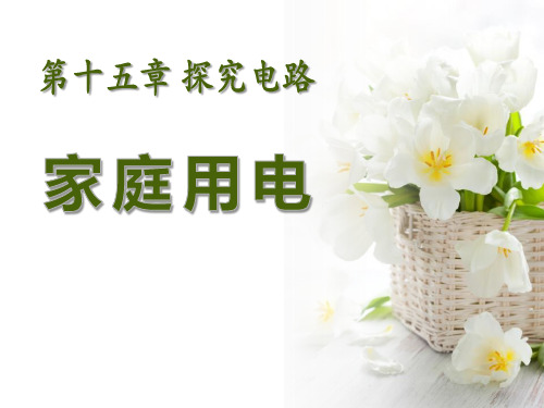 《家庭用电》探究电路2PPT课件  图文