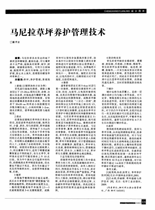马尼拉草坪养护管理技术