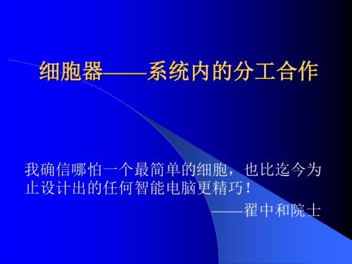 高中生物细胞器——系统内的分工合作