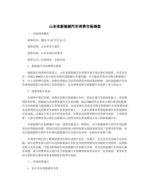 山东省新能源汽车消费市场调查