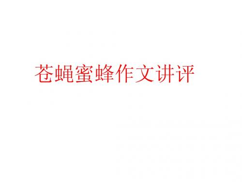 苍蝇蜜蜂作文讲评Y