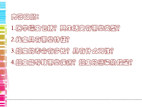 鞭虫 钩虫 蛲虫ppt课件