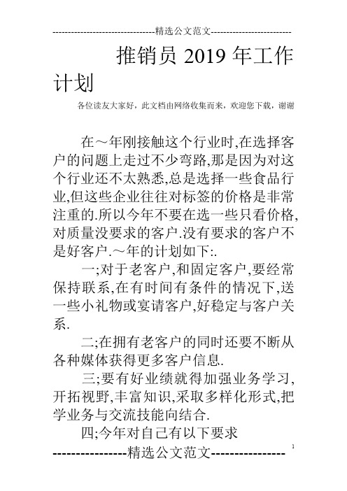 推销员2019年工作计划
