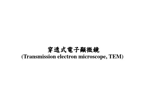穿透式电子显微镜(TEM)