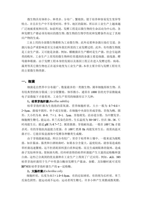 工业微生物基本类型及其基础知识