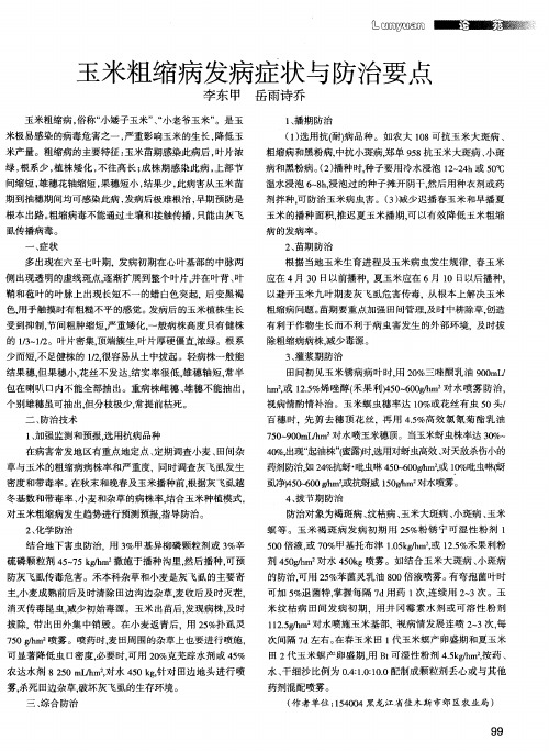玉米粗缩病发病症状与防治要点
