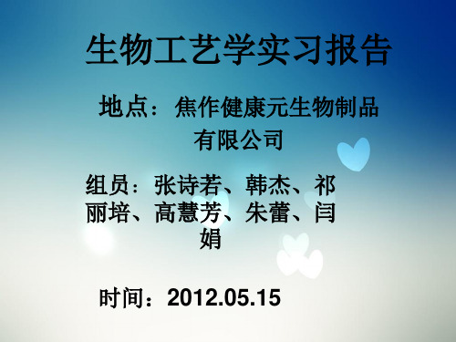 焦作健康元实习报告
