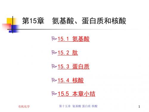 有机化学-第15章 氨基酸、蛋白质和核酸