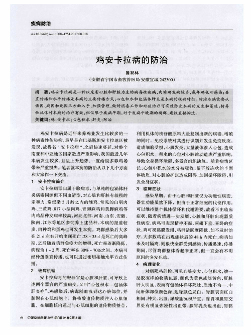 鸡安卡拉病的防治