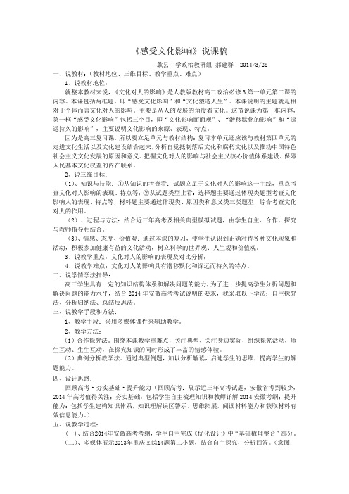 《感受文化影响》说课稿