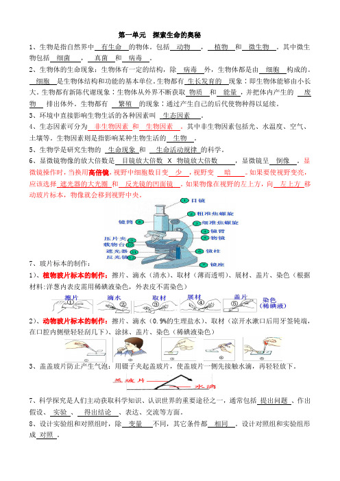 2024中考生物重点知识