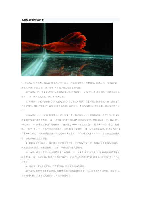 高鳍红箭鱼疾病防治