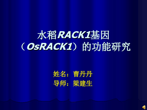 水稻RACK1基因(OsRACK1)的功能研究