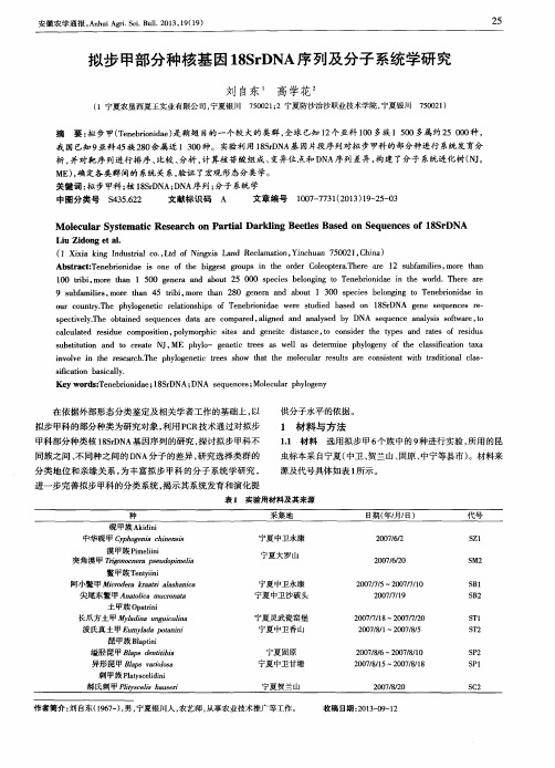 拟步甲部分种核基因18SrDNA序列及分子系统学研究