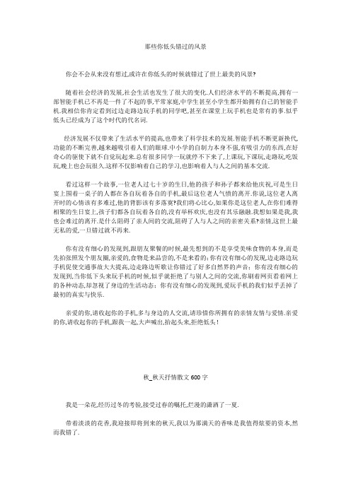 高中作文：那些你低头错过的风景