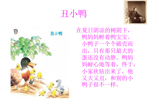 丑小鸭  安徒生PPT课件
