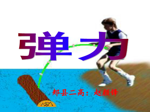弹力说课 ppt课件