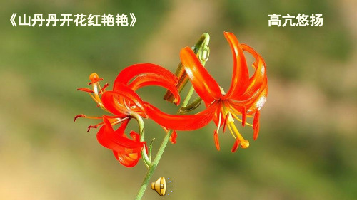 2 、回延安