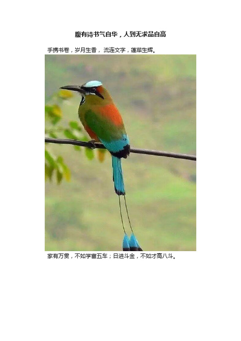 腹有诗书气自华，人到无求品自高