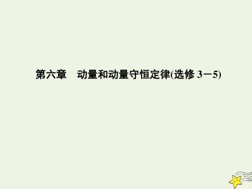 (名师导学)2020版高考物理总复习第六章第1节动量动量定理课件新人教版