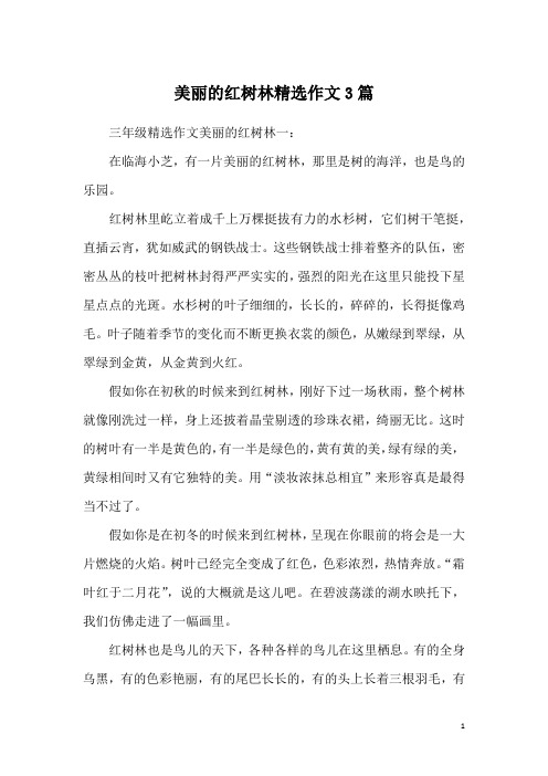 美丽的红树林精选作文3篇