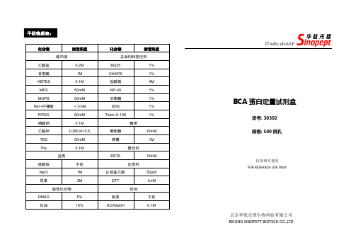 30302 BCA蛋白定量试剂盒说明书