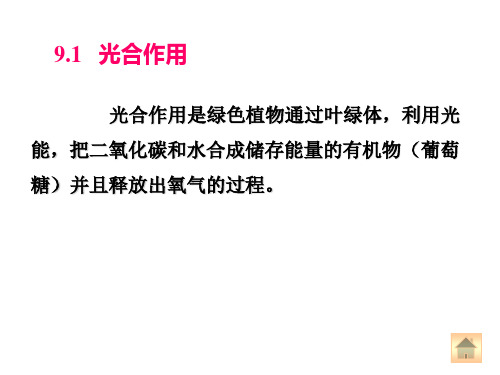 09糖的生物合成