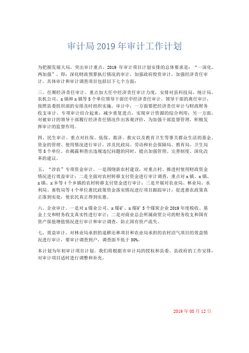 最新-审计局2019年审计工作计划 精品