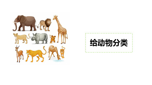 苏教版科学四年级上 1.给动物分类