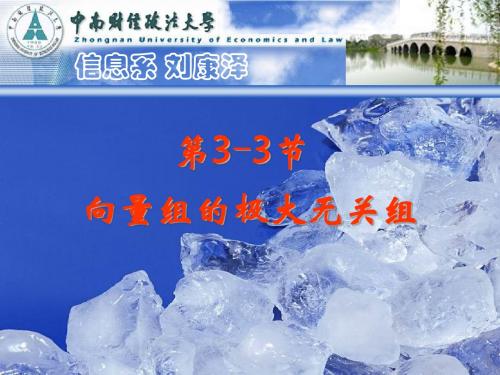 3-3向量组的极大无关组