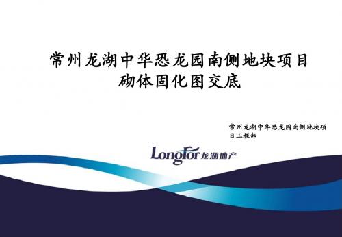 砌体固化图交底