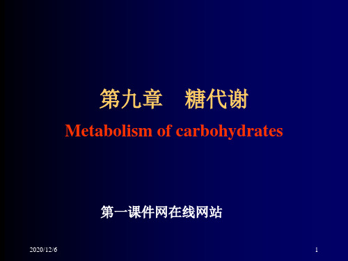 生物化学-糖代谢()精品PPT教学课件