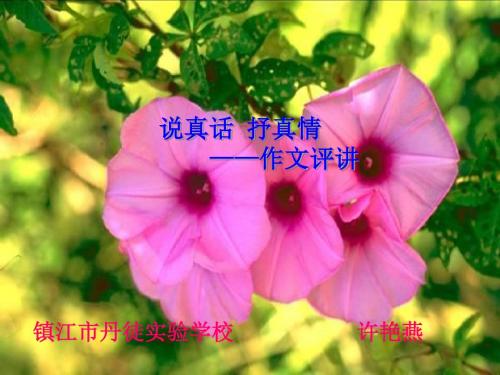 初中作文说真话,抒真情——作文讲评ppt