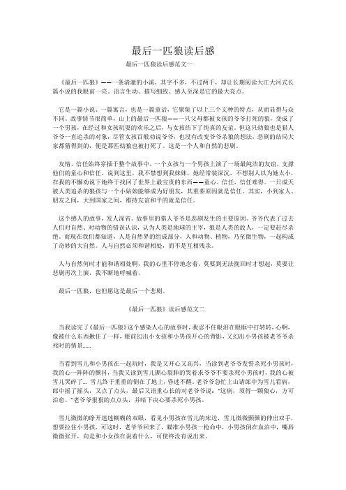 最后一匹狼读后感