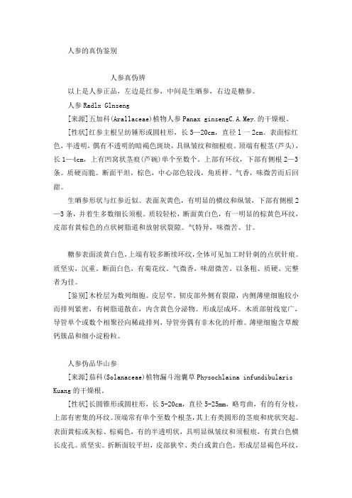 人参的真伪鉴别