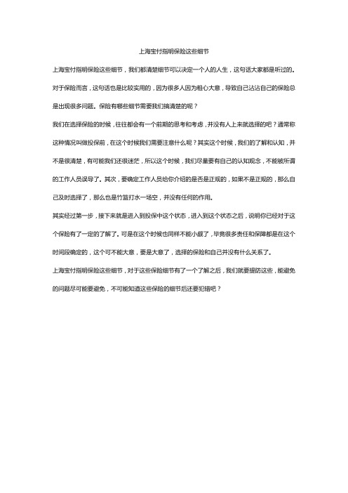 上海宝付指明保险这些细节