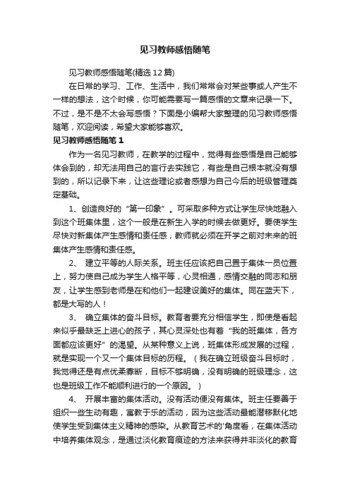 见习教师感悟随笔（精选12篇）