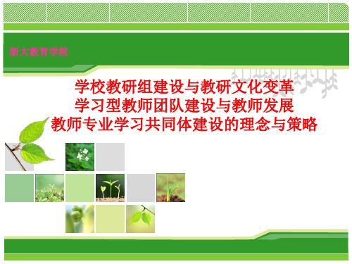 某学校教研组建设与文化变革培训课件(PPT 36页)